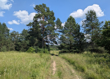 Подмосковье, Английский клуб - Сосновые леса Киржача