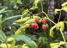 Карелия, У самого Полярного Круга: в нацпарк Паанаярви с детьми