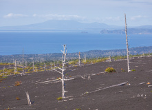Дальний Восток, Здравствуйте, я ваша Тятя: поход по острову Кунашир + Сахалин
