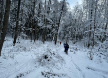 Подмосковье, Однодневный пеший поход English club - Goodbye, зима!