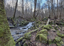 Северо-Запад, Изборско-Мальская долина (разведка)