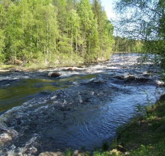 Карелия, Сплав по реке Суна на байдарках