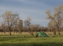 Фотографии 2018 года