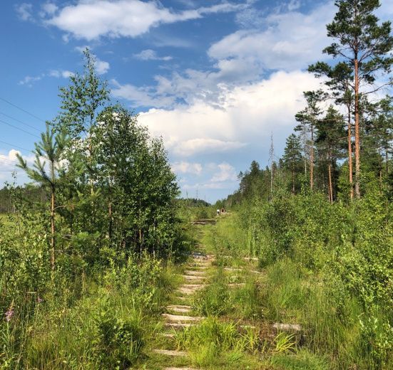 Северо-Запад, Пеший поход в Каннельярви