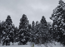 Япония, Японские Альпы. Горнолыжный + культурный тур (разведка)