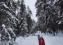 Подмосковье, Лыжный поход «Лесная зимняя сказка» (Подмосковье)