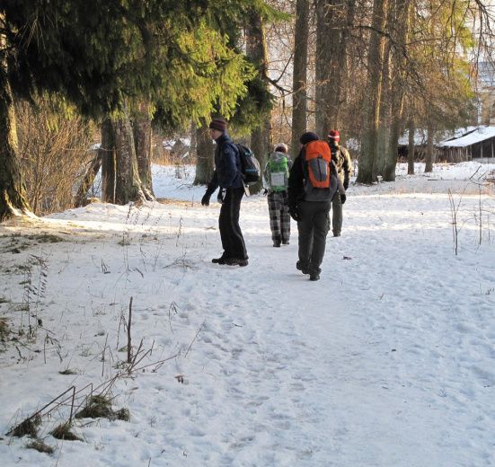 Северо-Запад, Девонские пески. Прогулка по Оредежским берегам