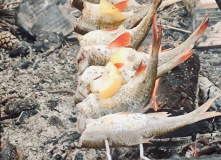 Селигер, Дикий Селигерский край - водный поход