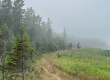 Русский Север, Соловецкие Острова в Белом Море (экскурсии + поход)