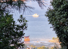 Япония, К пальмам и горячим пескам (разведка)