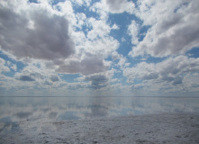 Юг России, Соль земли.