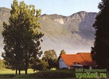 Словения, Восхитительная Словения. Виноградники и пещеры