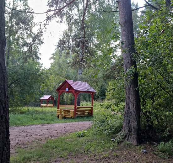 Подмосковье, Пеший марафон