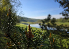 Подмосковье, Пеший поход «Большая Калужская Тропа: вдоль Угры к Никола-Ленивцу»