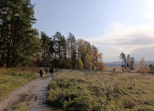 Подмосковье, Однодневный поход-трекинг с хаски