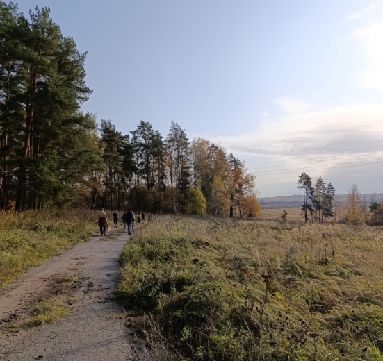 Подмосковье, Однодневный поход-трекинг с хаски