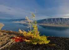 Плато Путорана, Фототур по плато Путорана — осень на озере Лама