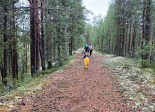 Карелия, У самого Полярного Круга: в нацпарк Паанаярви с детьми