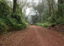 Танзания, Восхождение на Килиманджаро. Маршрут Умбве