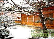 Южная Корея, Новогодние каникулы в Южной Корее