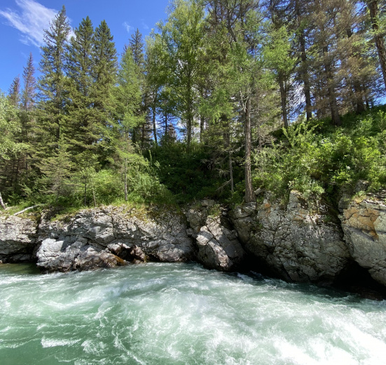 Алтай, Сплав по рекам Кумир и Коргон с конной заброской