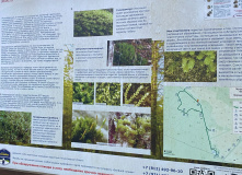 Северо-Запад, Однодневный поход вдоль Кавголовского озера с посещением органного концерта в Токсово