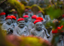 Япония, К пальмам и горячим пескам (разведка)