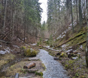 Северо-Запад, Кургальский полуостров