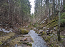 Северо-Запад, Кургальский полуостров