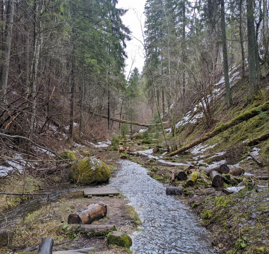 Кургальский полуостров