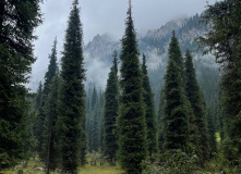 Киргизия, В стране эдельвейсов: пеший поход по Центральному Тянь-Шаню (Терскей-Алатау)