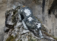 Северная Осетия (Алания), Три дня в Алании: Тайны Даргавса и высоты Фиагдона