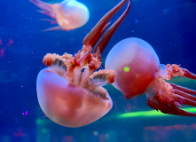 Китай, Живописная палитра Китая: из глубинки провинции к золотым пляжам (разведка)