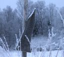 Северо-Запад, К зимовью на реке Смородинке
