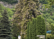 Грузия, Поход по нацпарку Боржоми с проживанием в отелях