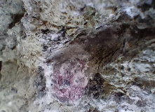 Карелия, Семейные автовыходные в Северном Приладожье