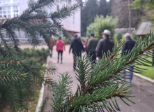 Северо-Запад, Золото осенних дорог: велотур в Пушкинские горы