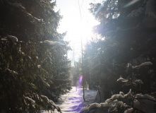 Подмосковье, Пеший поход - Зосимова Пустынь