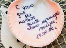 Кольский, Вместе с северным ветром: в Териберку с детьми