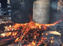 Подмосковье, Однодневный детский поход - English Club for kids