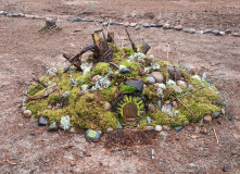 Северо-Запад, Тренировка к походу "Сотка за сутки"