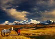 Алтай, Конное путешествие к подножию пяти священных гор (разведка)