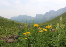 Кавказ, Магишо, дети, кони: по затерянным местам Кавказа