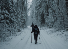Подмосковье, Однодневный пеший поход English club - Рождество в лесу