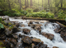 Сибирь, Духи гор, духи рек: таёжный поход на Шумак (разведка)
