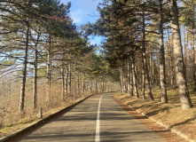 Кавказ, Пятигорский перевал (программа с размещением в старинном купеческом особняке XIX в.)