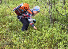 Карелия, У самого Полярного Круга: в нацпарк Паанаярви с детьми