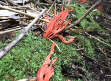 Дальний Восток, Здравствуйте, я ваша Тятя: поход по острову Кунашир + Сахалин