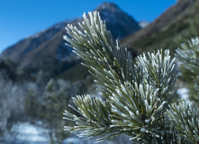 Кавказ, Горнолыжный лагерь в Дигории