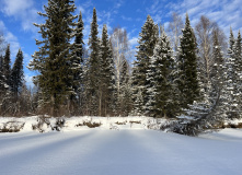 Урал, В самое сердце Северного Урала: на плато Маньпупунер